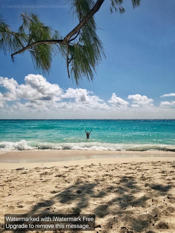 230 Gg Rockley Barbados Apartment Bridgetown Ngoại thất bức ảnh